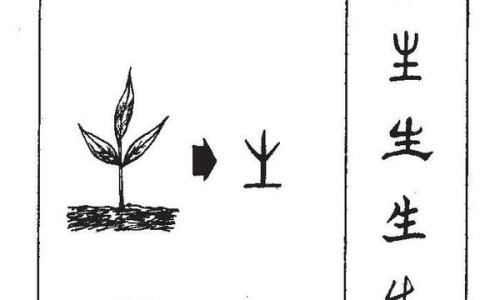 坤复康片的吃法-权威坤复康吃多久一个疗程平台,分享专业坤复康片的吃法知识_坤复康禁忌网